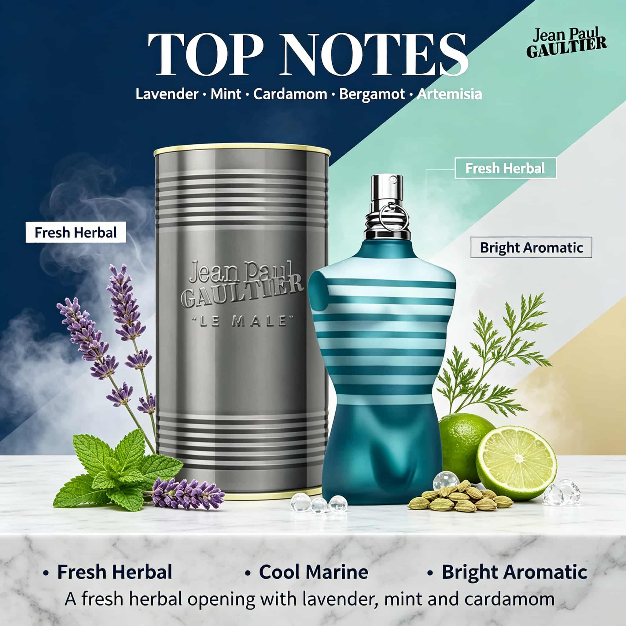 장 폴 고티에 르 말(Le Male) 남성용 오 드 뚜 - Perfume Fragrance Jean Paul Gaultier Le Male 리뷰 및 가격